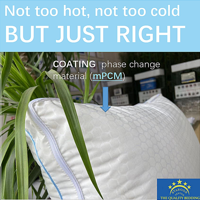 COOL STAR PCM - MEMORY FOAM & DOWN PILLOW