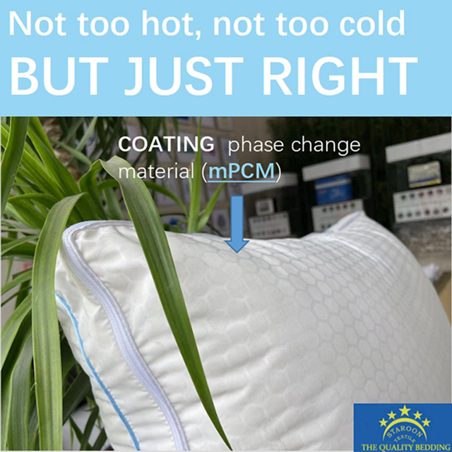 COOL STAR PCM --MEMORY FOAM & DOWN PILLOW