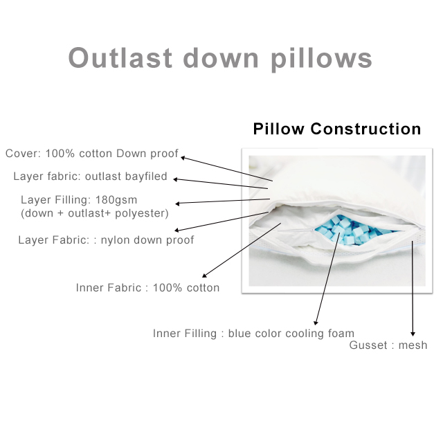 OUT LAST DOWN PILLOW