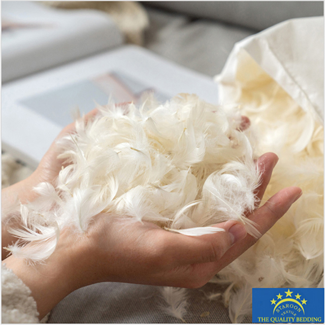 GOOSE FEATHERS PILLOW